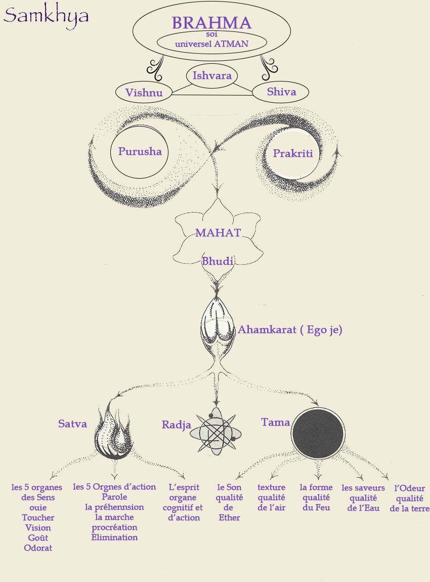 arbre de la connaissance dans le Sāṃkhya